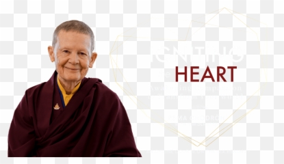 Pema Chödrön And Tim Olmsted - Kasaya Emoji,Mingyur Rinpoche Difficult Emotions