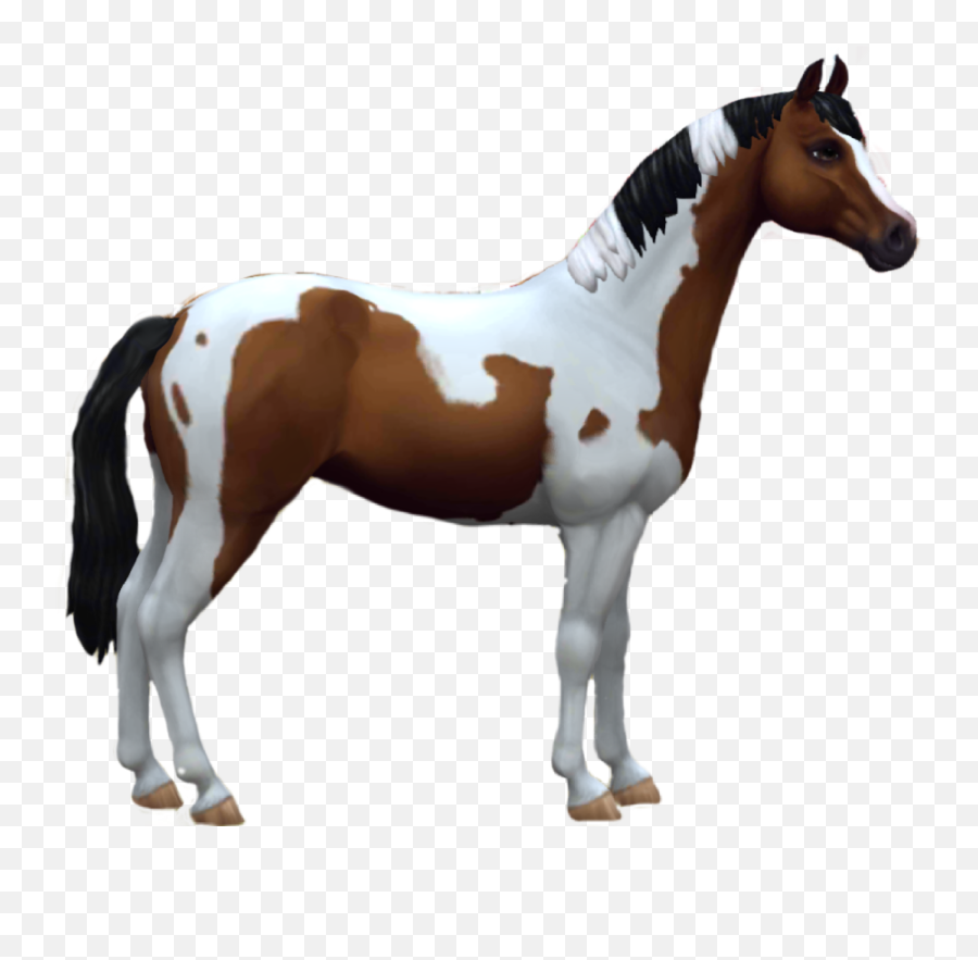 Discover Trending Hottie Stickers Picsart - Paint In Star Stable Emoji,Horse And Muscle Emoji