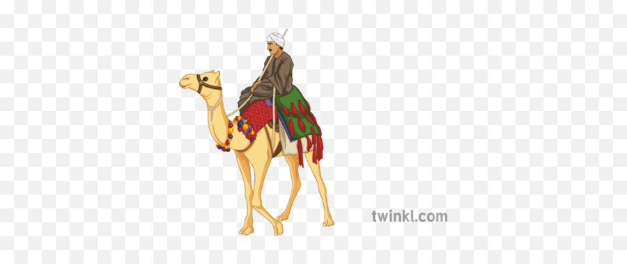 Camel Png Images Transparent Background - Riding Camel Png Emoji,Clipart No Backs Transparent .png Format Emoticons