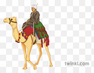 Camel Png Images Transparent Background - Riding Camel Png Emoji,Clipart No Backs Transparent .png Format Emoticons