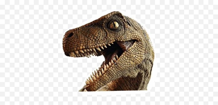 Dinosaur Sticker Gif - Animated Transparent Dinosaur Gif Emoji,Dino Emojis