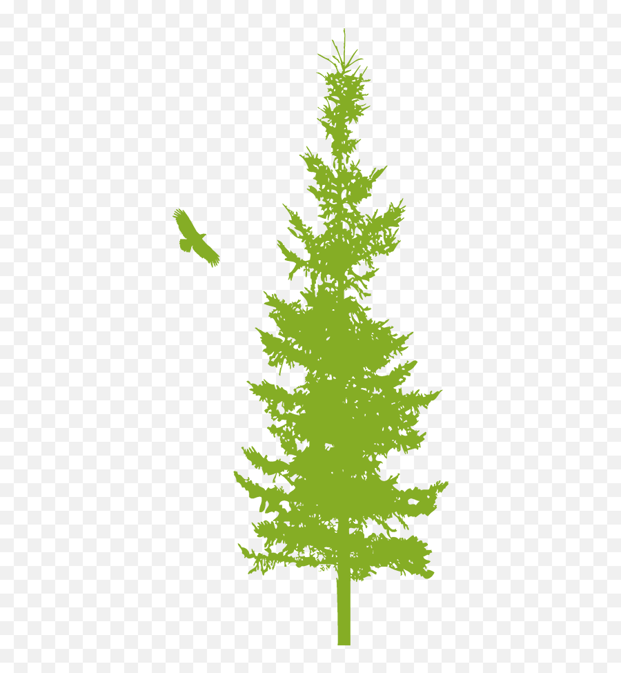 Taking Care Of Yourself - Parkinson Association Of The Rockies Emoji,Christmas Tree Emotions