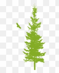 Taking Care Of Yourself - Parkinson Association Of The Rockies Emoji,Christmas Tree Emotions