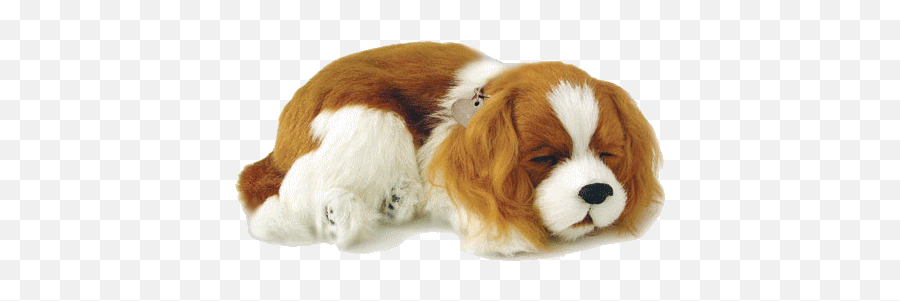 Top Chen Exo Stickers For Android Ios - Cavalier King Charles Peluche Emoji,Cavalier King Charles Spaniel Sticker Emoji