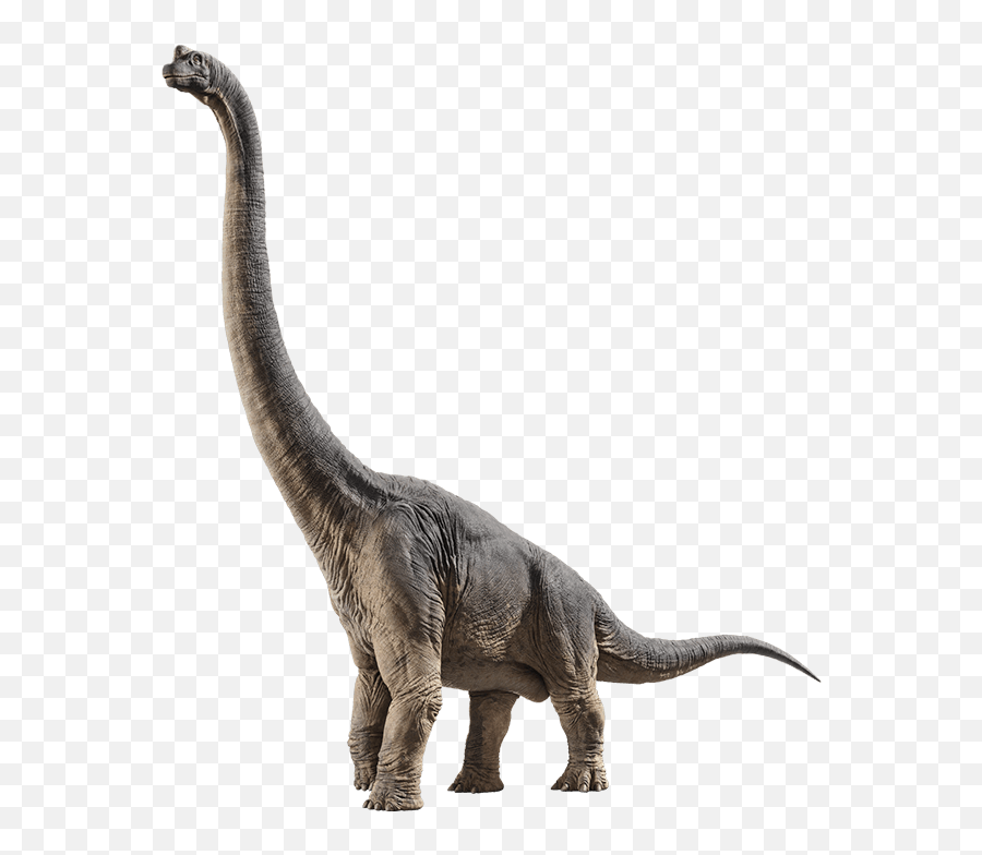 Brachiosaurus Jurassic Park Wiki Fandom - Dinosaur Brachiosaurus Emoji,Dinosaur Head Emoji
