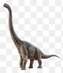 Brachiosaurus Jurassic Park Wiki Fandom - Dinosaur Brachiosaurus Emoji,Dinosaur Head Emoji