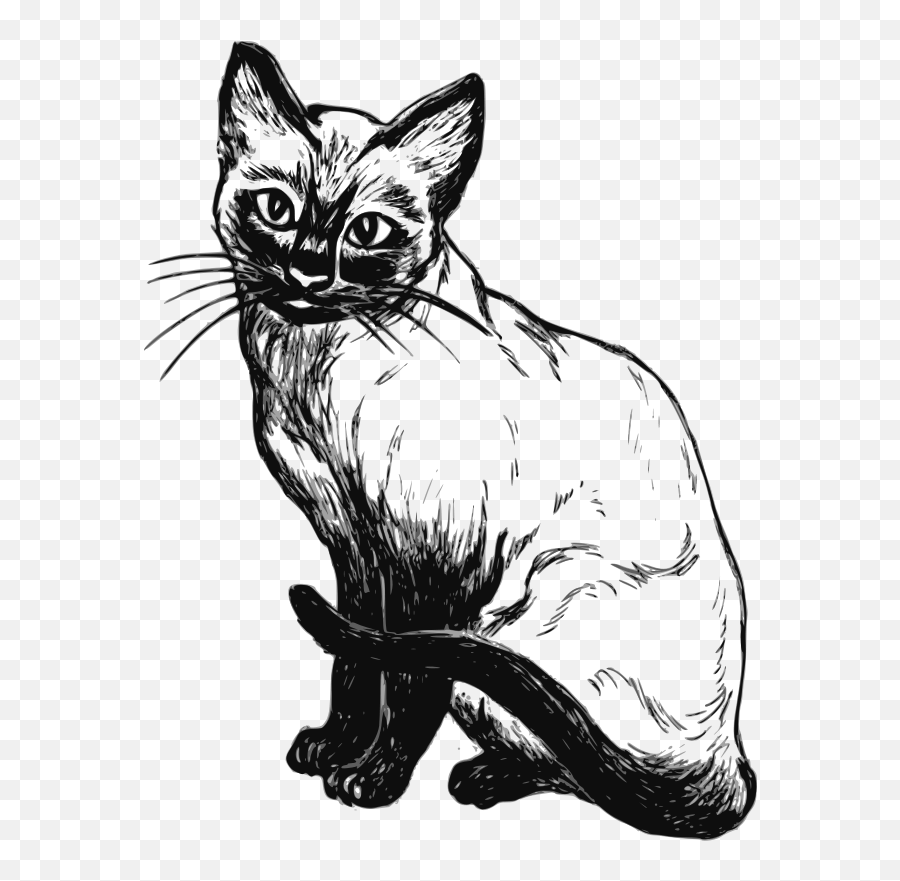 Free Clipart - 1001freedownloadscom Art Black And White Cat Emoji,Siamese Kitty Emoticon