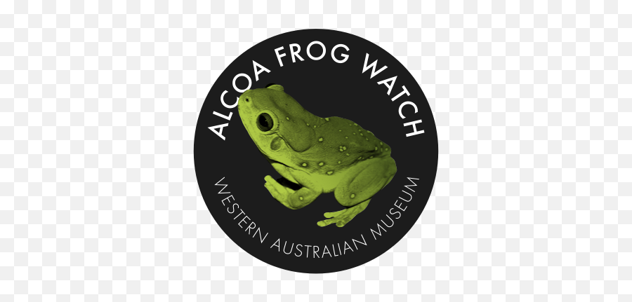 Arid Zone Frogs Western Australian Museum - Frogwatch Emoji,Spadefoot Toad Emotion