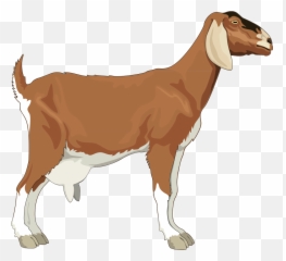 Brown Goat Png Svg Clip Art For Web - Download Clip Art Emoji,Brown Turban Emoji