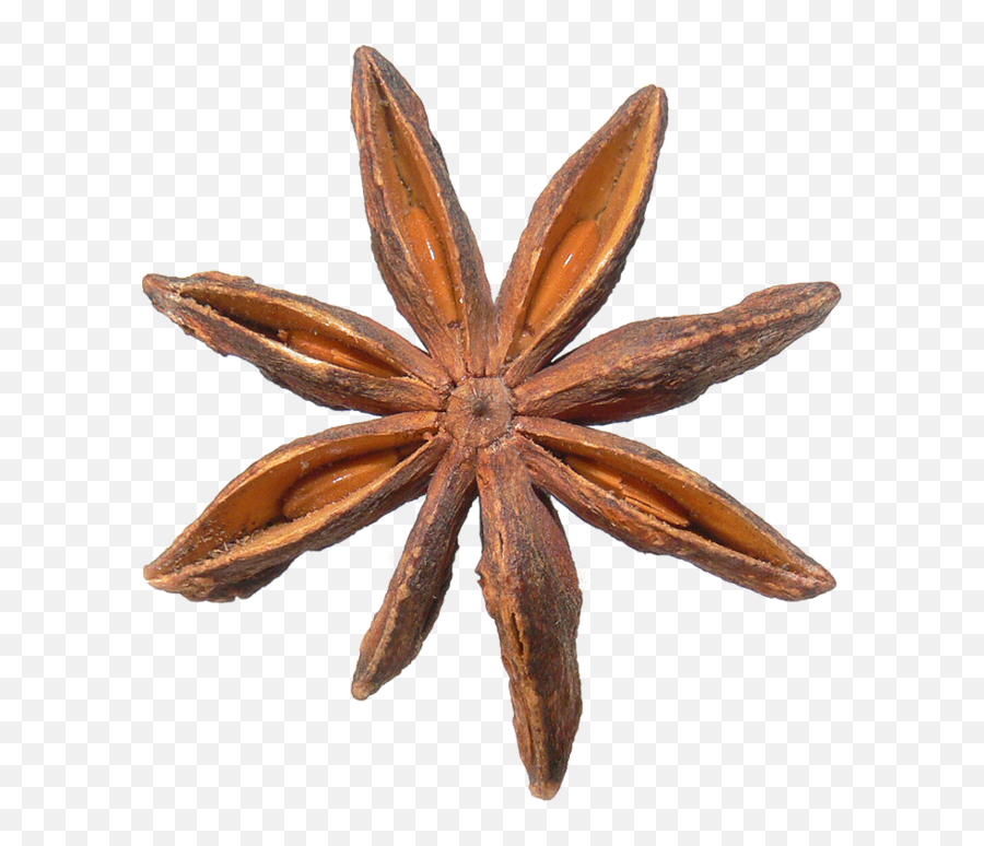 Filestar Aniseed444png - Wikimedia Commons Emoji,Condiments Emoji