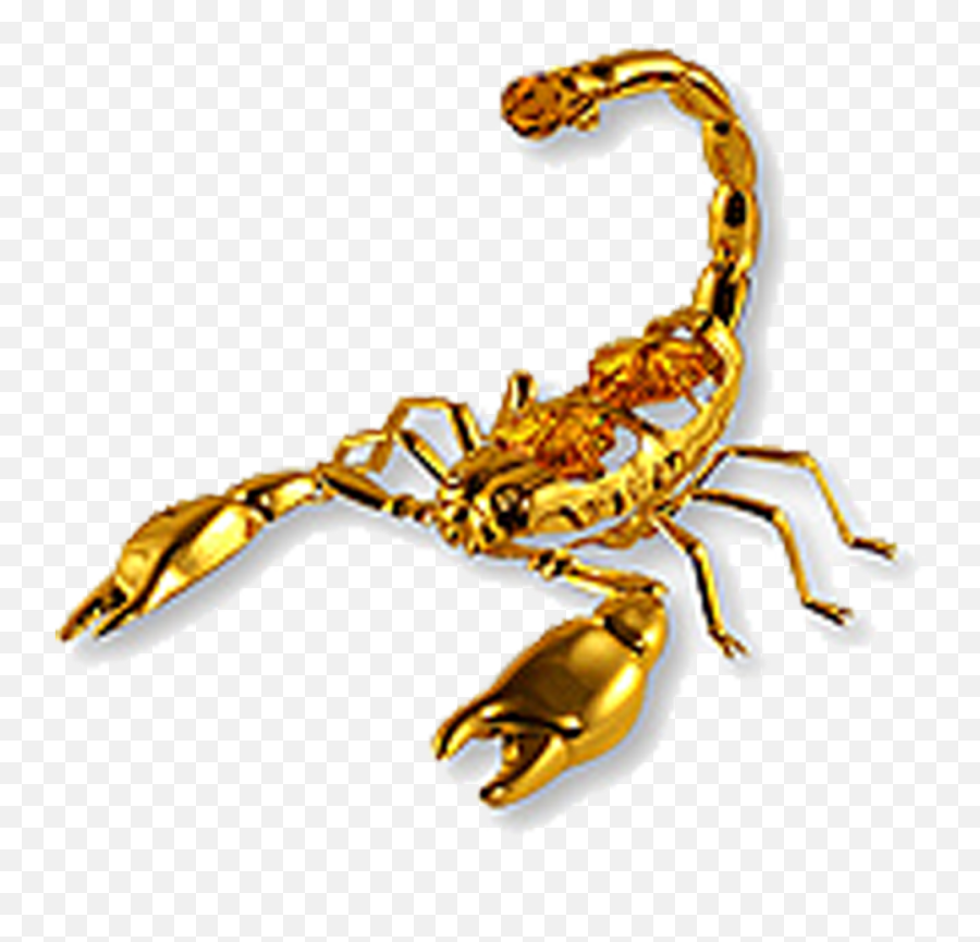 Free Transparent Scorpion Png Download - Scorpion Emoji,Scorpio Zodiac Emoji