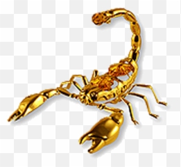 Free Transparent Scorpion Png Download - Scorpion Emoji,Scorpio Zodiac Emoji