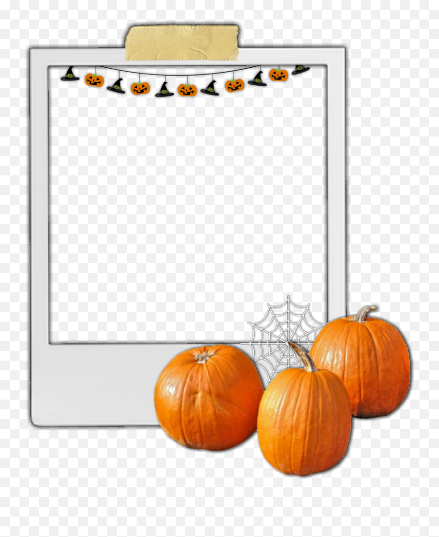 Sticker Overlay Sticker By Lea Rs - Horizontal Emoji,Gourd Emoji