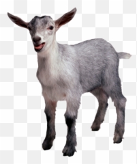 Horses Cows Pigs - Goat Feet Png Emoji,Ponyhoof Emoticons List