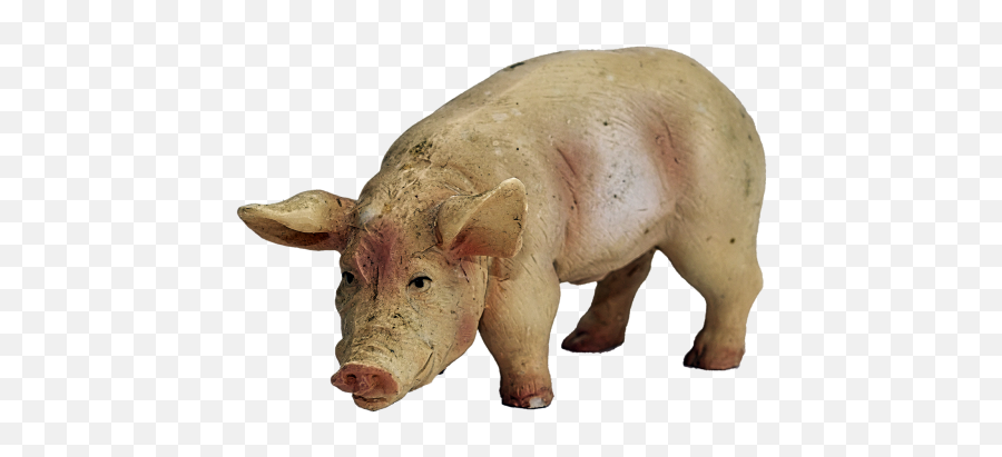 Pig Piglet Piggy Animal Public Domain Image - Freeimg Pashuo Ke Naam In Hindi Emoji,Pig Kawaii Emoticon