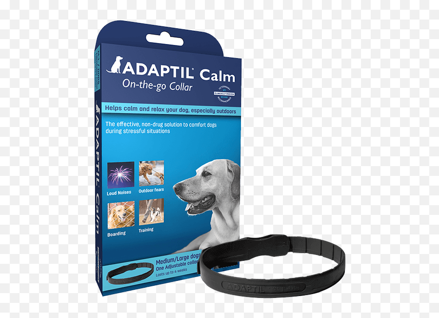 50 Critters Their Ideas In - Adaptil Dog Collar Emoji,Emotion Of Collor