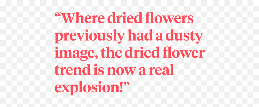 How I Fell In Love With Dried Flowers - Blog On Thursd Dot Emoji,Love Is A Stupid Emotion