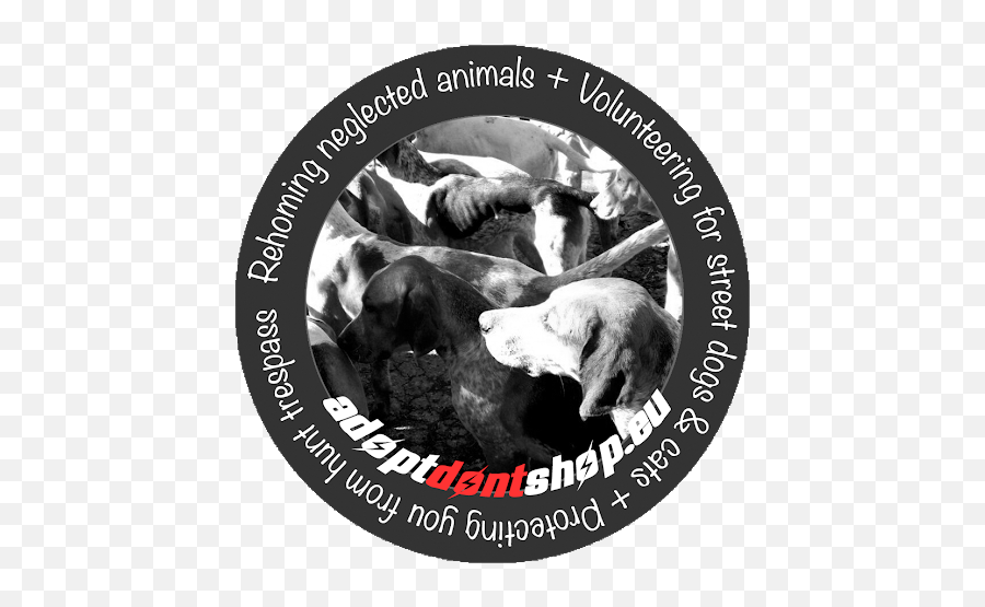All About Animal Awareness U2026links Marina Kanavaki - Photo Caption Emoji,Doge Emojis