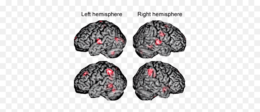 The Voice Brainwave Entrainment - Brain Emoji,Numb Emotions Binaural Beats