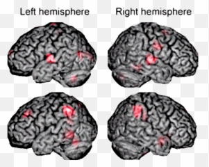 The Voice Brainwave Entrainment - Brain Emoji,Numb Emotions Binaural Beats