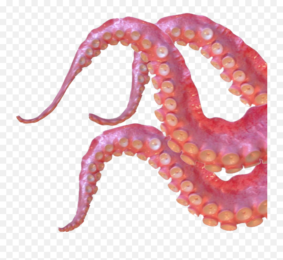 Largest Collection Of Free - Toedit Stickers On Picsart Emoji,Octopus Emoji Transparent