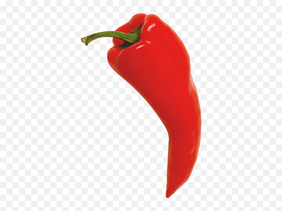 Free Chili Pepper Download Free Clip - Chili Fruit Emoji,Chili Emoticon