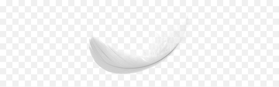 Feather Png Resolution512x384 Transparent Png Image - Imgspng Portable Network Graphics Emoji,Feather Emoji