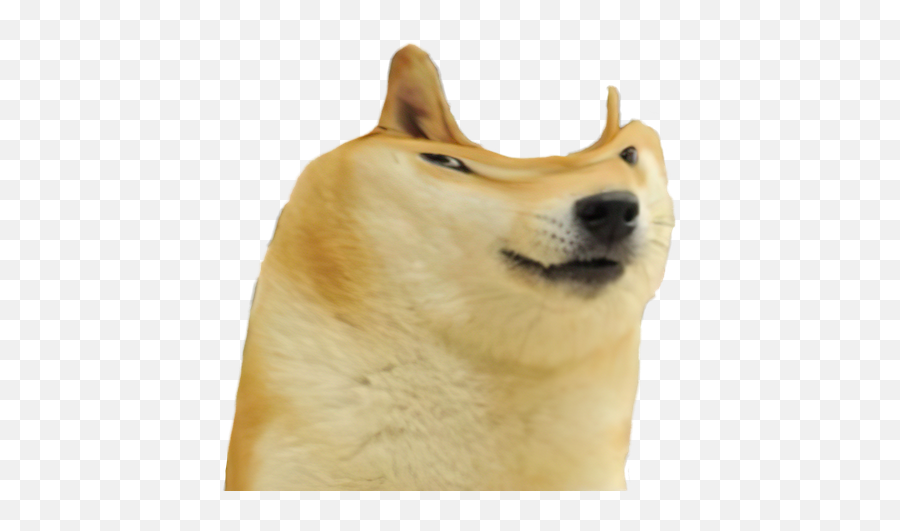 Oscum - Dogelore Northern Breed Group Emoji,Shib Inu Emoticon