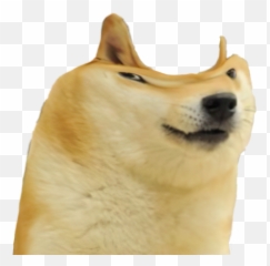 Oscum - Dogelore Northern Breed Group Emoji,Shib Inu Emoticon