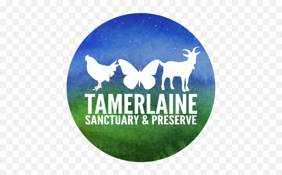 Amazing Animal Advocates U2014 Tamerlaine Sanctuary U0026 Preserve - Schönbrunner Schloss Park Emoji,Love Emotion Human Animals