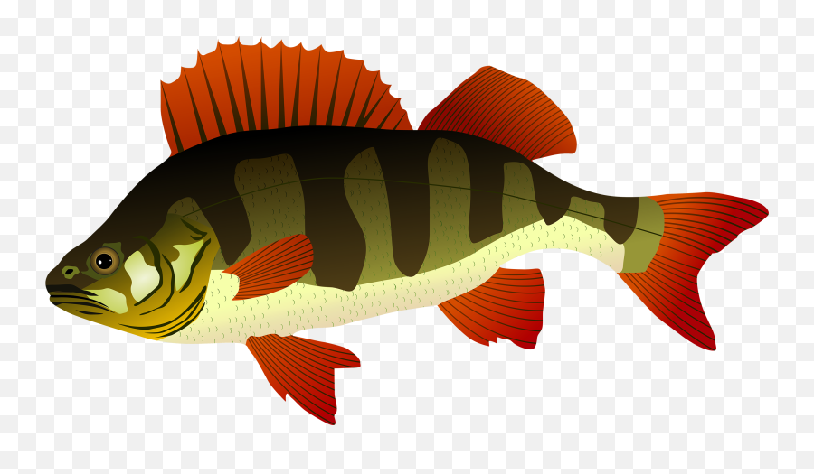 Fork Clipart Fish Fork Fish Transparent Free For Download - Perch Fish Png Emoji,Fish Cake Emoji