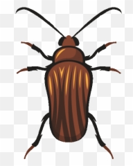 Cockroach Halloween Party Gif - Parasitism Emoji,Facebook Cockroach Emoticon
