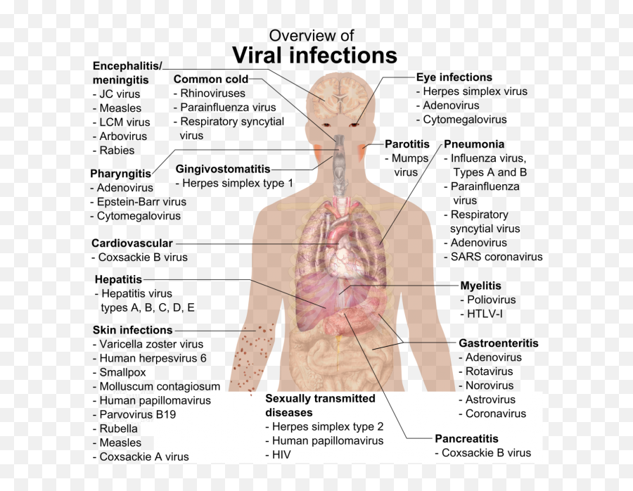 How To Save The World Dave Pollardu0027s Chronicle Of - Overview Of Viral Infections Emoji,Miss Brasil Be Emotion