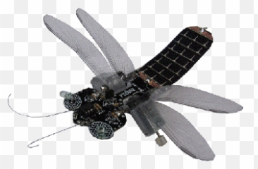 Beam Dragonfly Robot Kits Cool Tech Gifts Tech Gifts Emoji,Robots Et Emotions