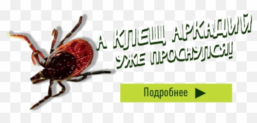 Irmagru Emoji,Moyou Emoji