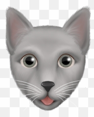 Petmoji App Crea Emojis Y Stickers De Tu Perro O Gato Ultima,Emojis De Un Gato