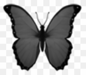 Black Gray Butterfly Emoji Sticker - Purple Butterfly Aesthetic Png,Black Emoji