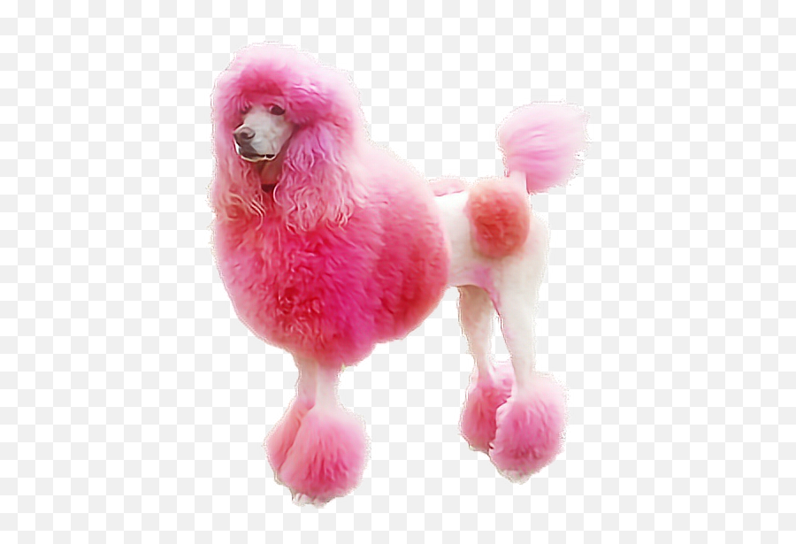 Pink Dog Poodle Animal Tumblr Sticker - Soft Emoji,Pink Poodle Emoji