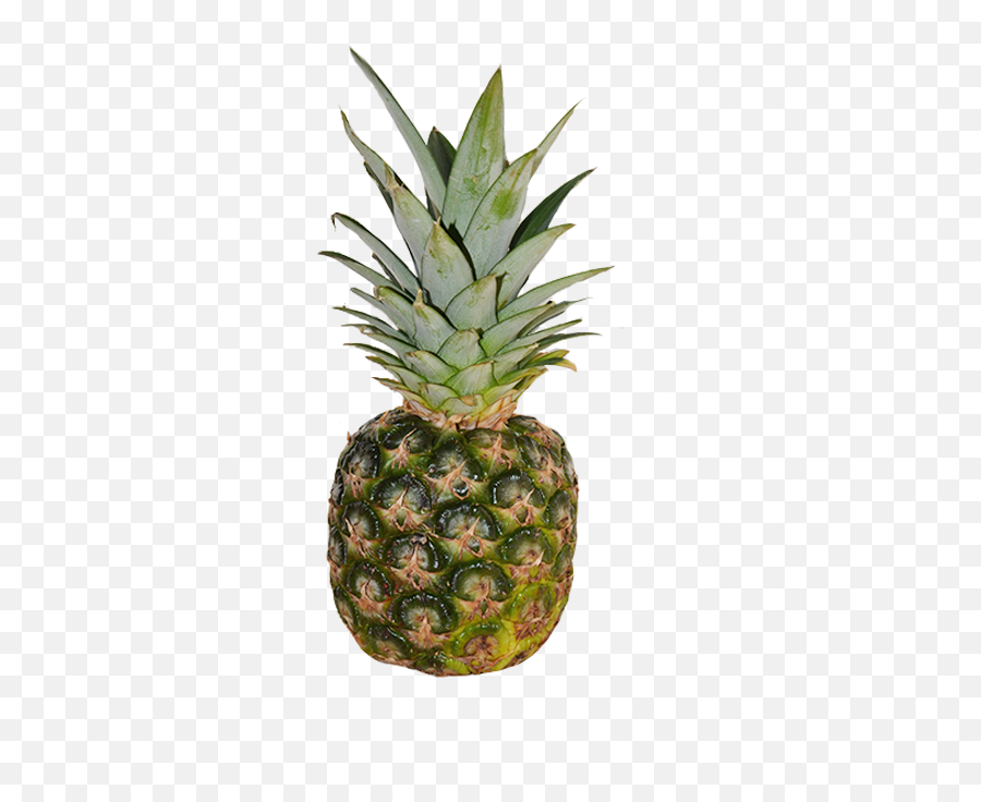 Free Transparent Pineapple Png Download - All Fruts Images Hd Emoji,Pineapple Emoji
