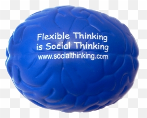 Brain - Laundry Ball Emoji,Social Behavior Mapping: Connecting Behavior, Emotions And Consequences Across The Day