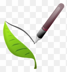 Lessentiel Sur Lhuile De Copaïer - Marking Tool Emoji,Copaiba Emotions