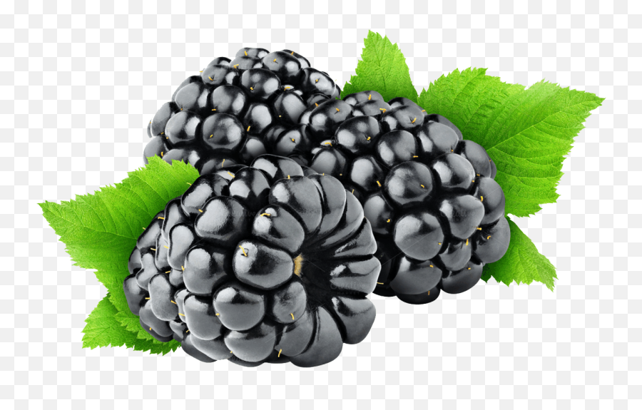 Fruits - Baamboozle Blackberry Fruit Png Emoji,Blackberry Emoji