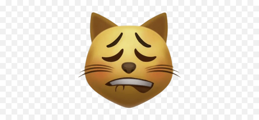 Allnriationz - Lip Bite Cat Emoji,Bcat Discord Emojis