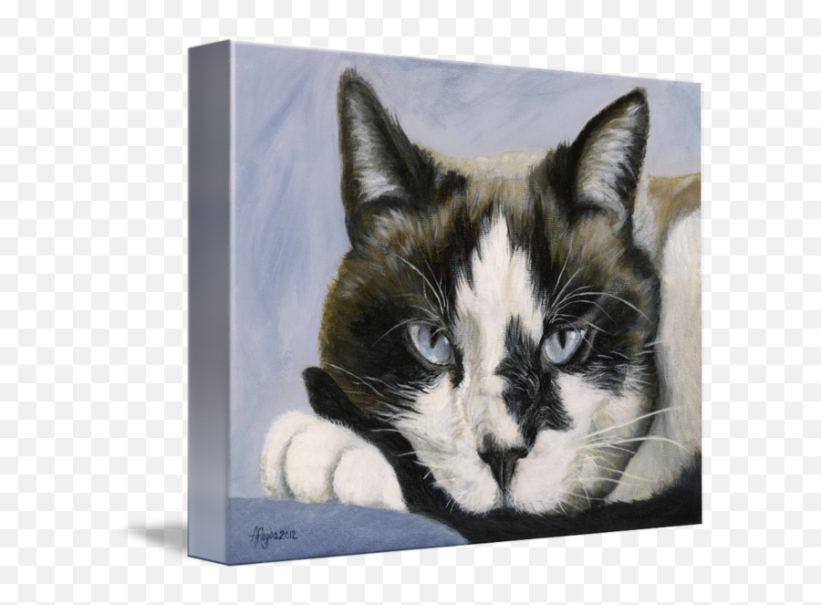 Calico Cat With Attitude By Amy Reges - Paintings Of Carlico Cat Emoji,Cats Emotion Pictures
