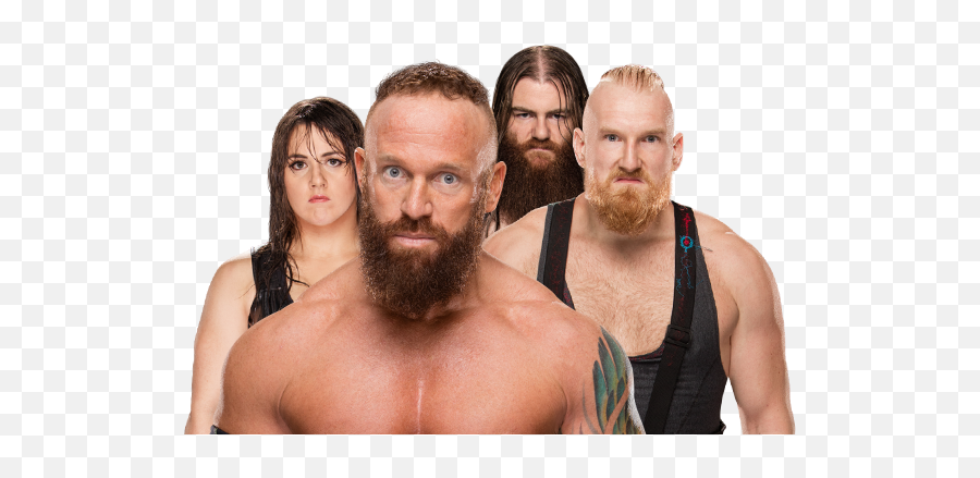 Sanity - Oww Wwe Sanity Png Emoji,Johnny Gargano Emoticon Meaning