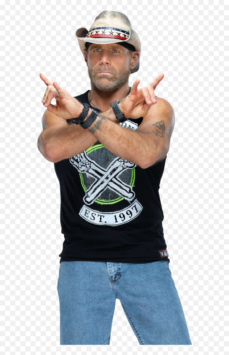 Shawn Michaels Transparent Background Png Png Arts - Shawn Michaels Png Dx Emoji,Michaels Emoji Pillow