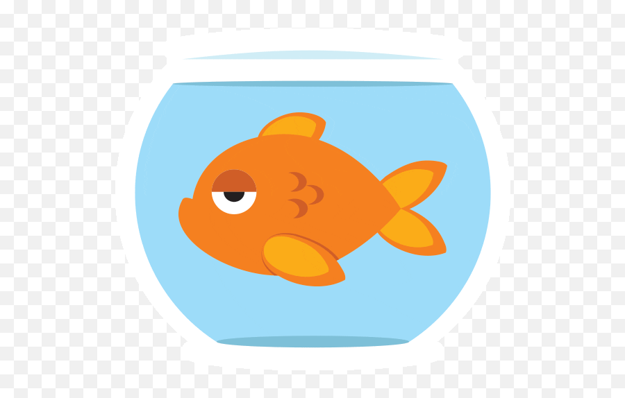 Cat Cow Dog Duck Fish Animals Baamboozle - Orange Fish Clipart Gif Emoji,Cat Fish Emoji