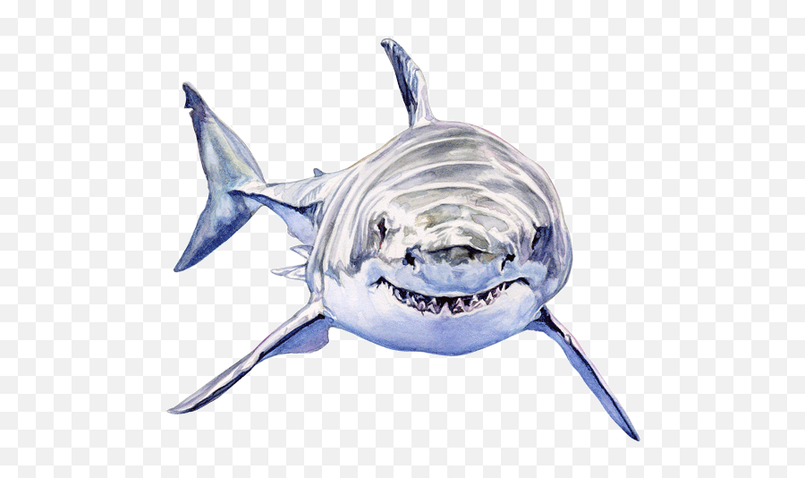Topic For Animated Shark Pixilart Shark Puppy Gif By - Swimming Shark Gif Transparent Emoji,Shark Emoji Android