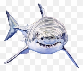 Topic For Animated Shark Pixilart Shark Puppy Gif By - Swimming Shark Gif Transparent Emoji,Shark Emoji Android