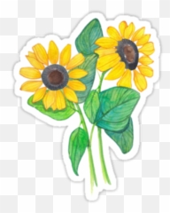 Tumblr Flowers Sticker Png Picsart - Flower Sticker Png Emoji,Sun Flower Emoji